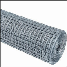 Factory ISO High Quality Galvanized Welded Wire Mesh